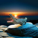 FRP Crocodile - Image 3